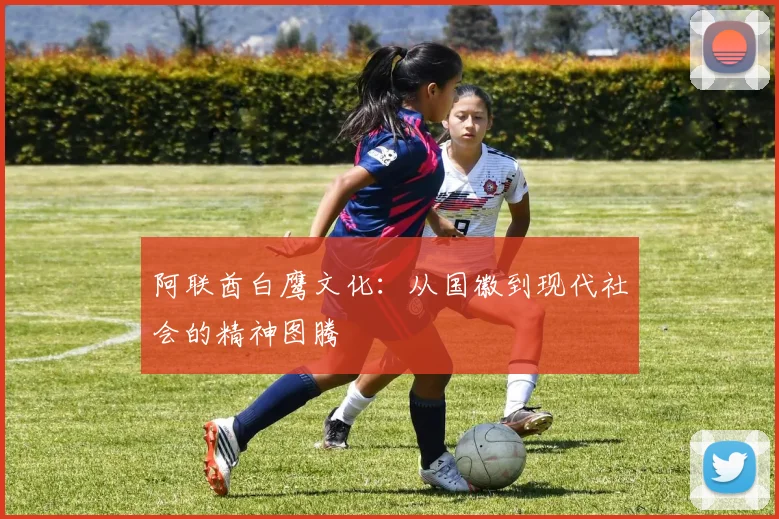 阿联酋白鹰文化:从国徽到现代社会的精神图腾